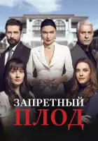 Запретный плод смотреть онлайн сериал 1-6 сезон